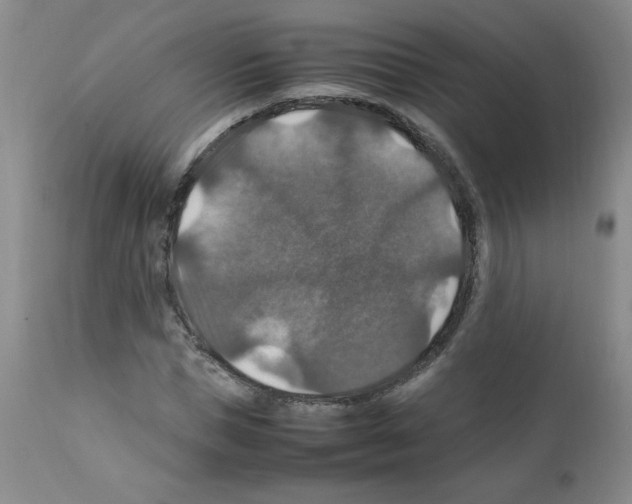 X0000112010921200909141122