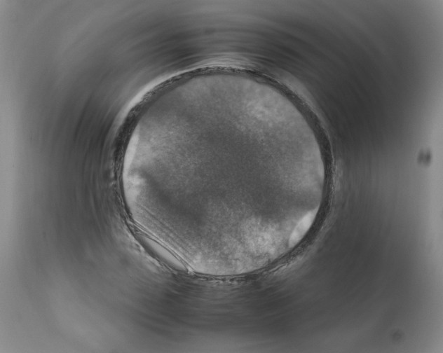 X0000112010923200909141122