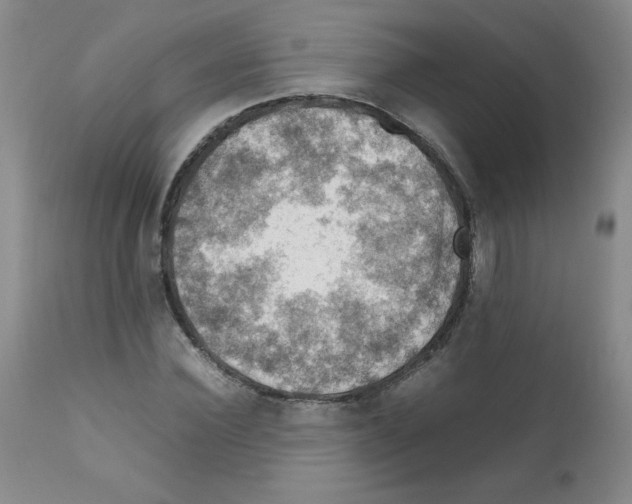 X0000112010924200909141122