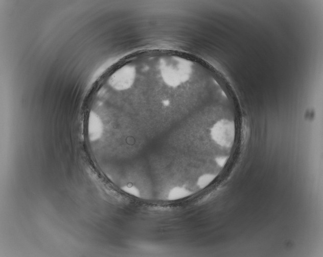 X0000112010925200909141122