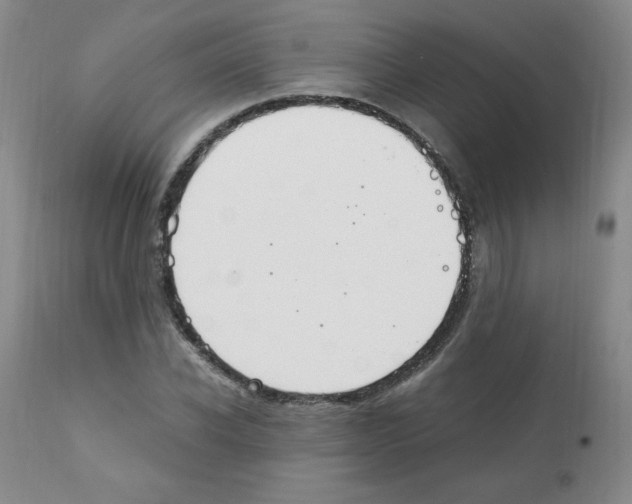 X0000112010926200909141122