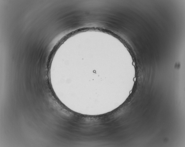 X0000112010927200909141122