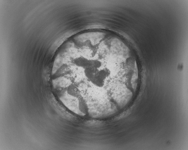 X0000112010929200909141122