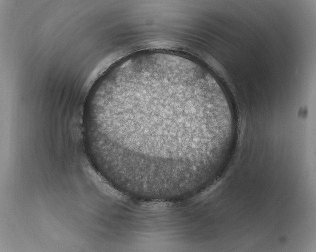 X0000112010930200909141122
