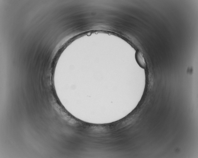 X0000112010931200909141122