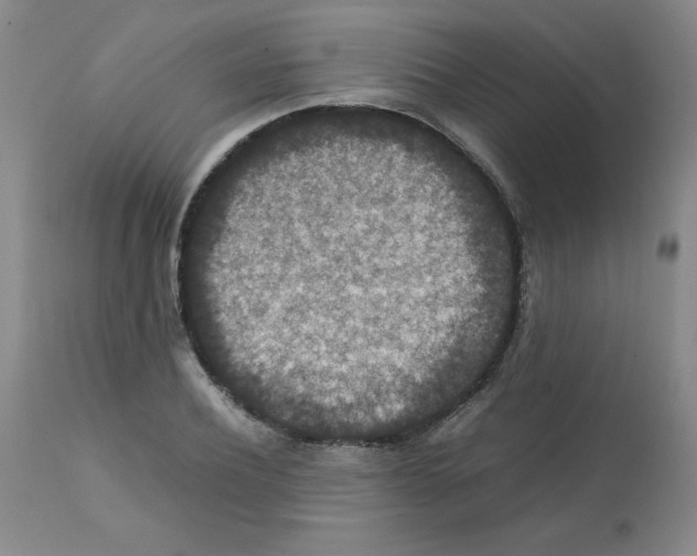 X0000112010932200909141122