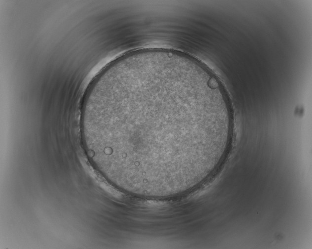 X0000112010933200909141122