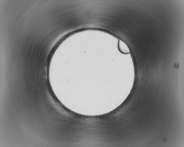 X0000112010934200909141122