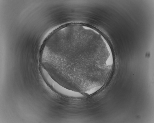 X0000112010935200909141122