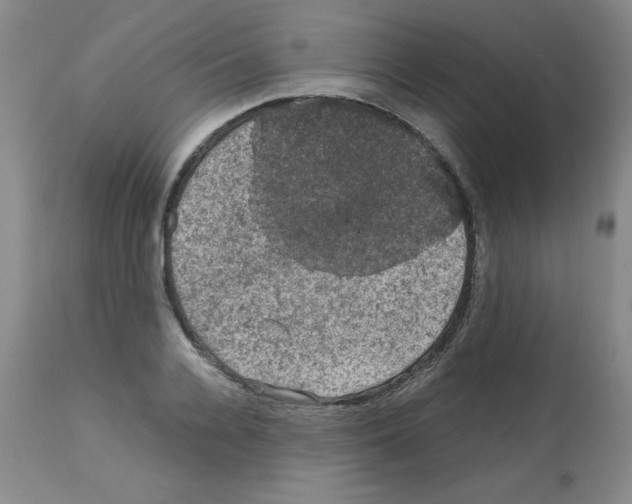 X0000112010936200909141122