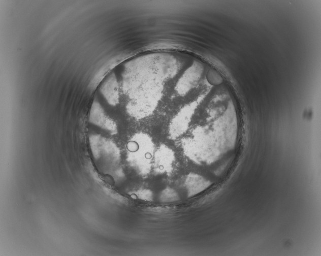 X0000112010937200909141122