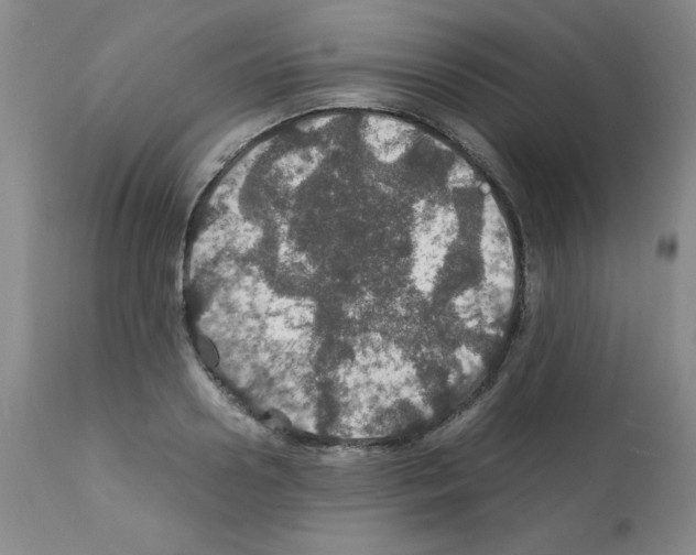X0000112010938200909141122