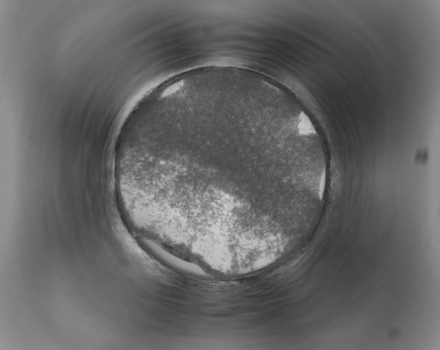 X0000112010939200909141122