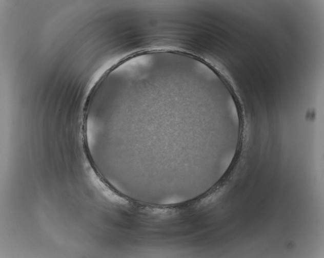 X0000112010941200909141122