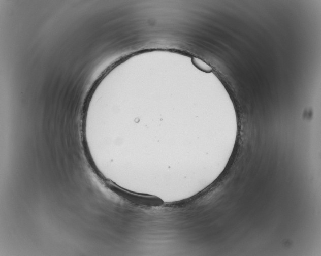 X0000112010942200909141122