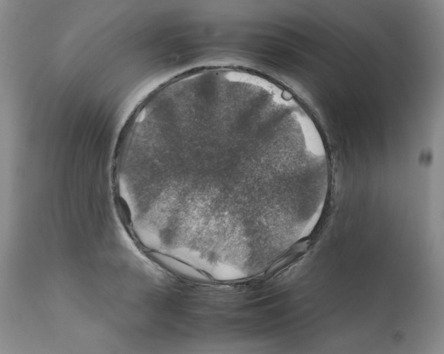 X0000112010943200909141122
