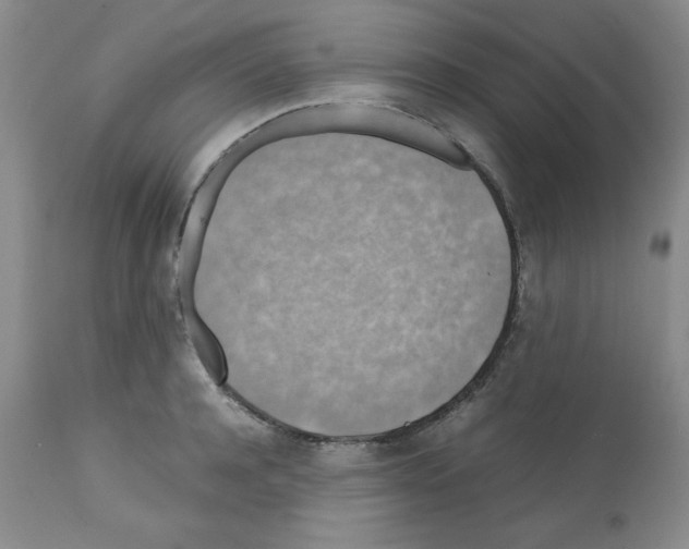 X0000112010944200909141122