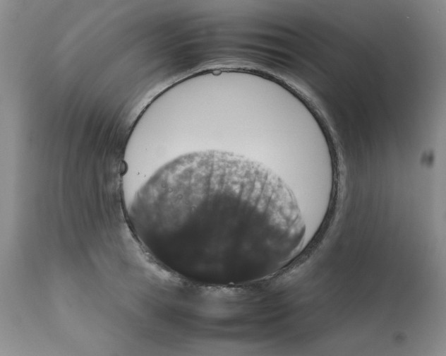 X0000112010945200909141122