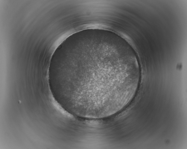 X0000112010946200909141122