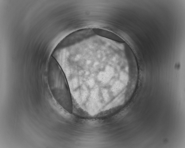 X0000112010948200909141122