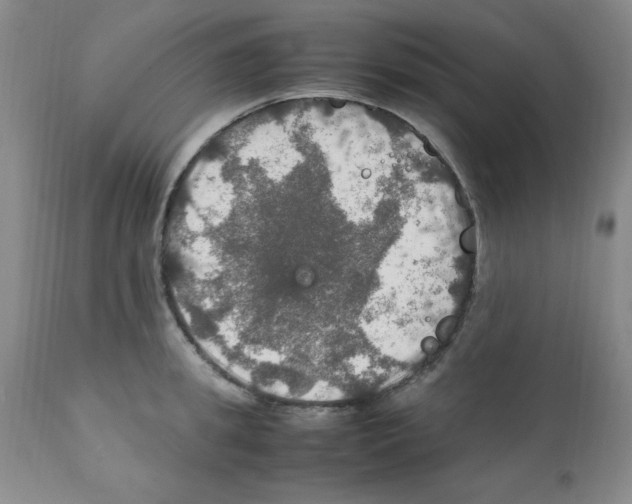 X0000112010949200909141122