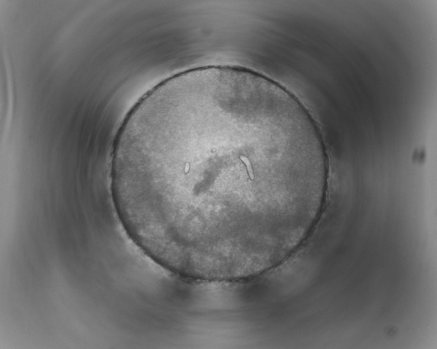 X0000112010950200909141123