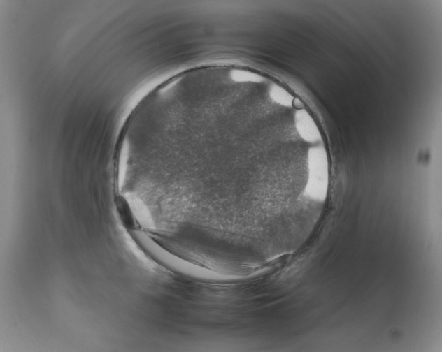 X0000112010951200909141123