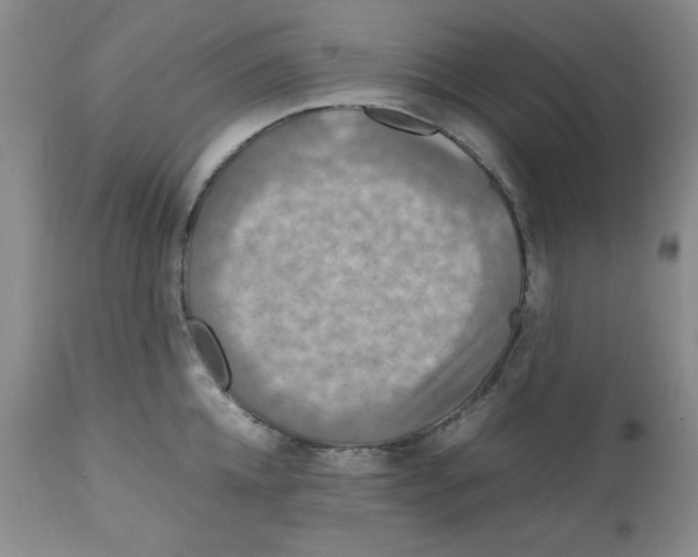 X0000112010952200909141123