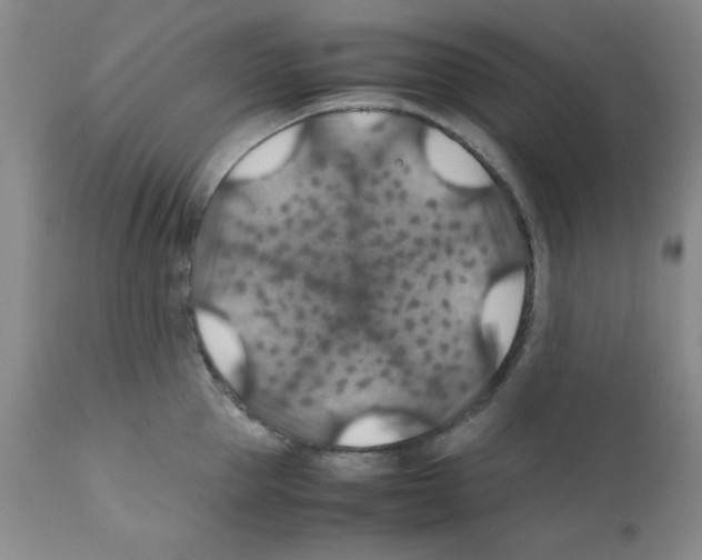 X0000112010953200909141123