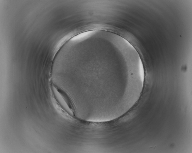 X0000112010954200909141123