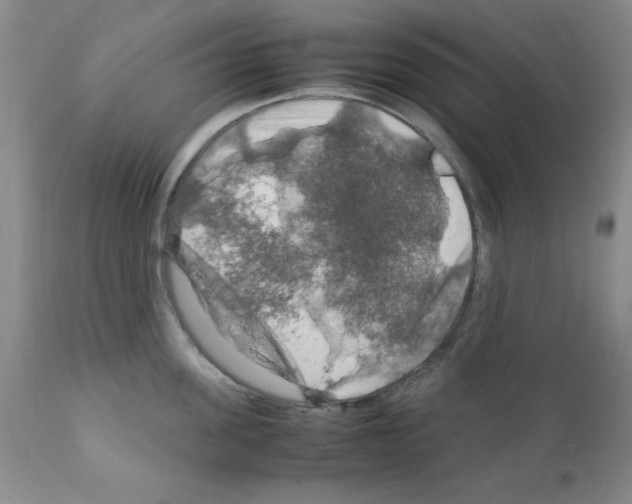 X0000112010955200909141123