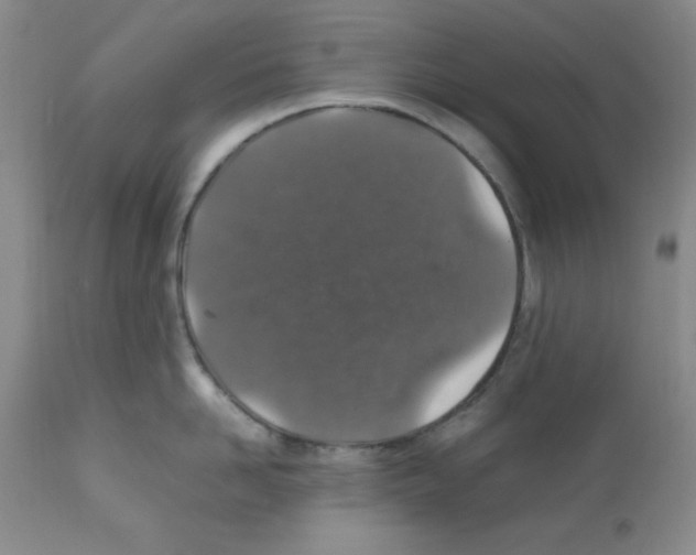 X0000112010958200909141123