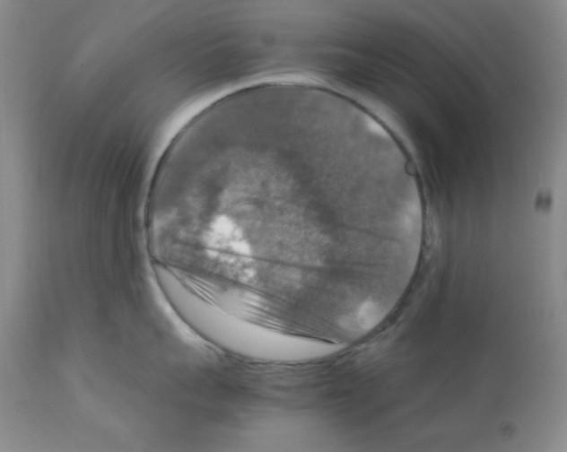 X0000112010959200909141123