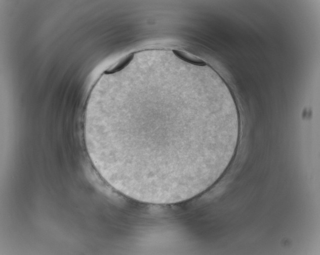 X0000112010960200909141123