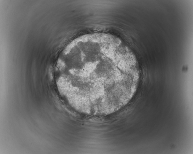X0000112010962200909141122