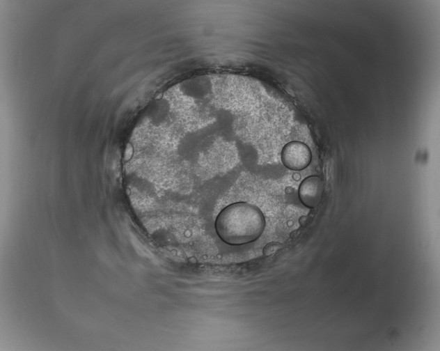 X0000112010963200909141122
