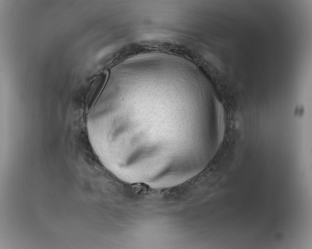 X0000112010965200909141122