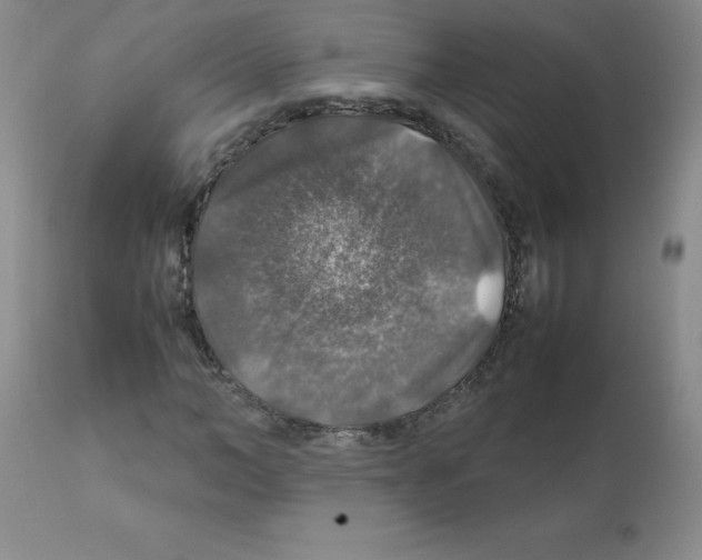 X0000112010966200909141122