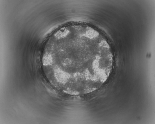 X0000112010968200909141122