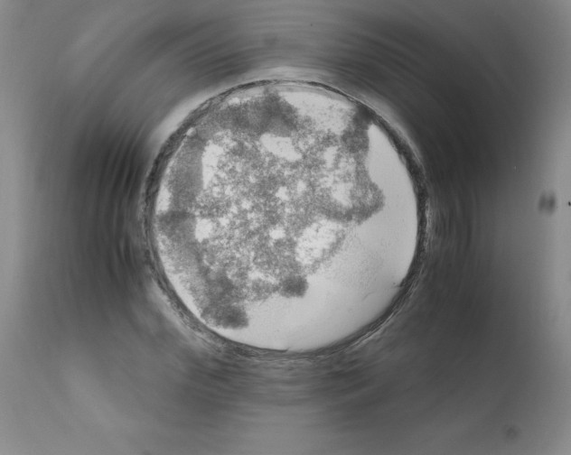 X0000112010972200909141121