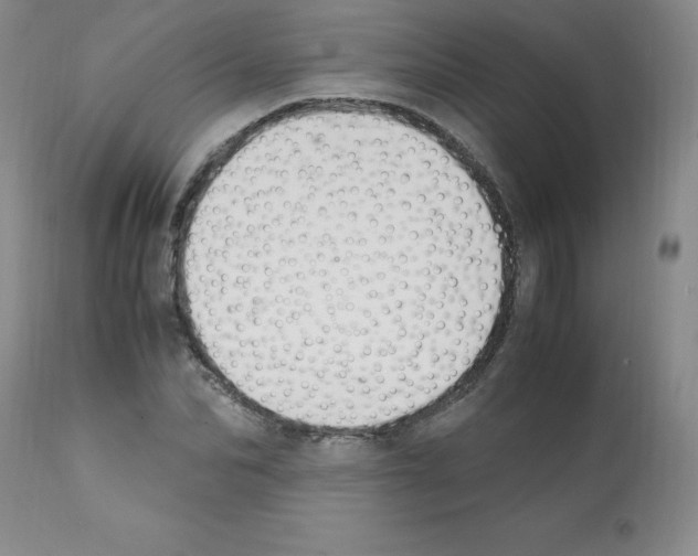 X0000112010974200909141121