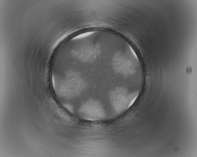 X0000112010975200909141121