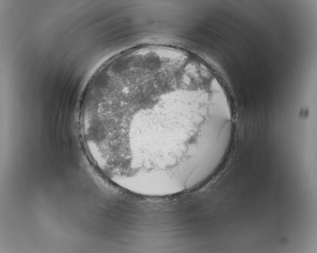 X0000112010976200909141121