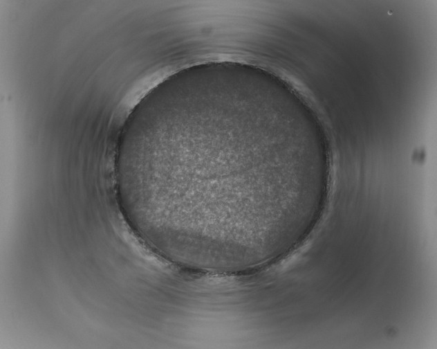 X0000112010977200909141121