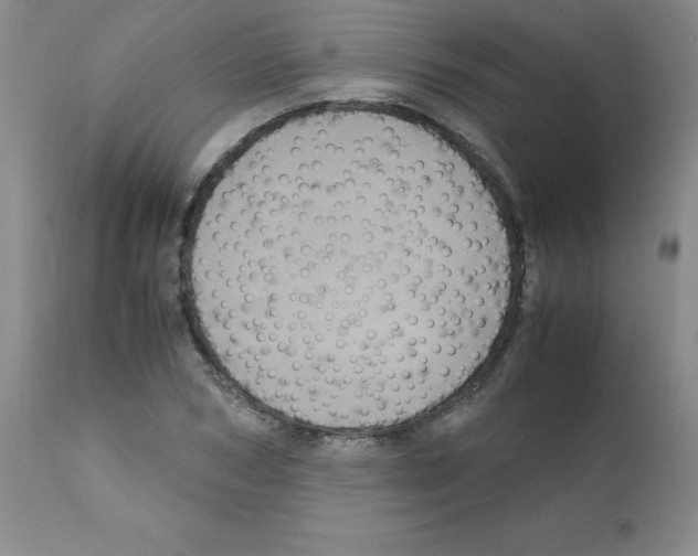 X0000112010978200909141121