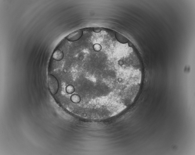 X0000112010980200909141121