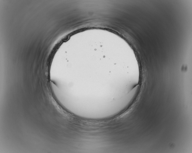 X0000112010981200909141121