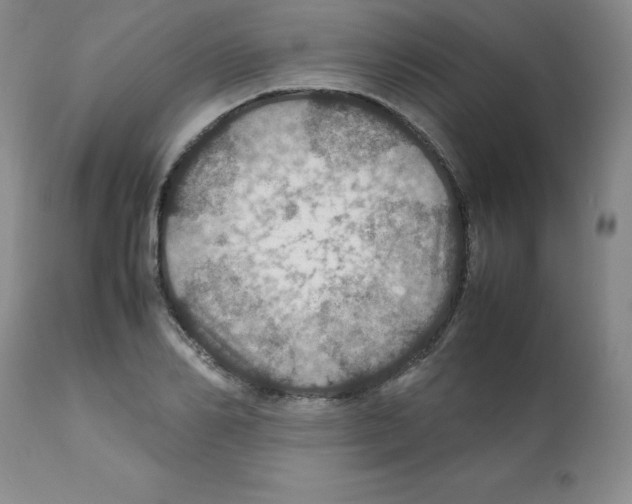 X0000112010982200909141121