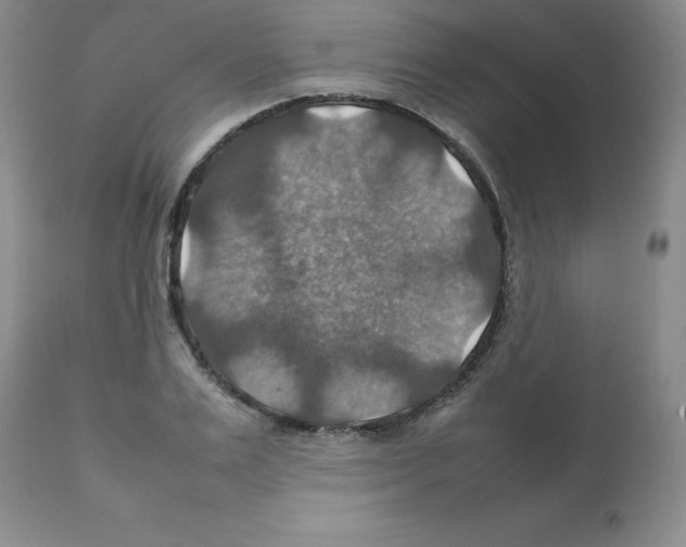 X0000112010983200909141121