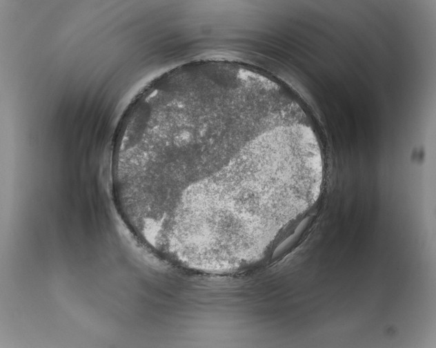 X0000112010984200909141121